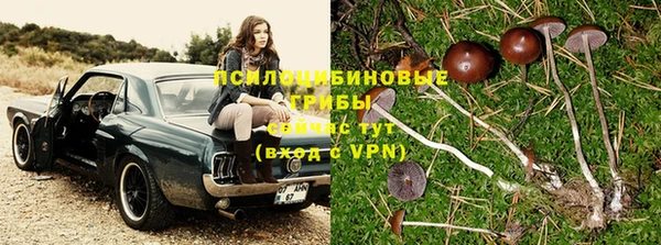 МДПВ Балахна