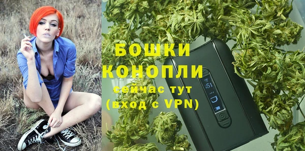 крисы Баксан