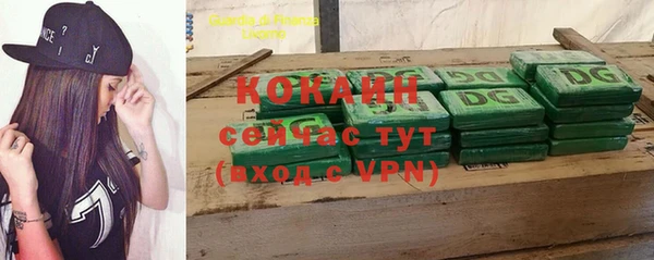 крисы Баксан