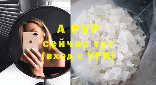 крисы Баксан