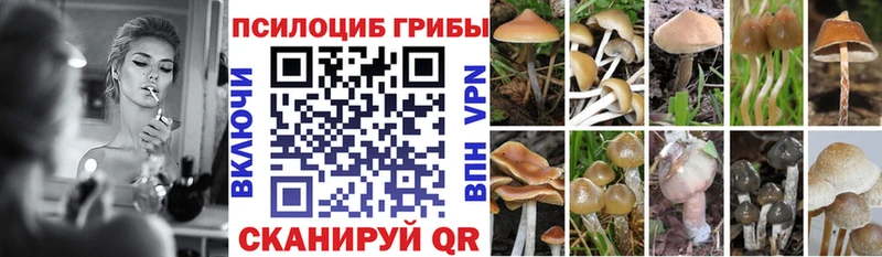 Галлюциногенные грибы MAGIC MUSHROOMS  Купить где  Котовск 